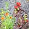 images/thumbsgallery/Accommodation/DSC_0005.png